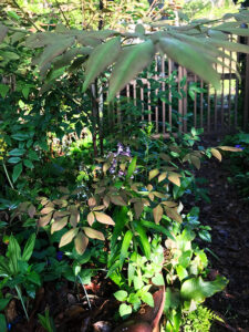 IMG_5280 - コピー